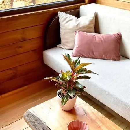 אוהל מפואר Mountain Eco Shelter 9 פונשל