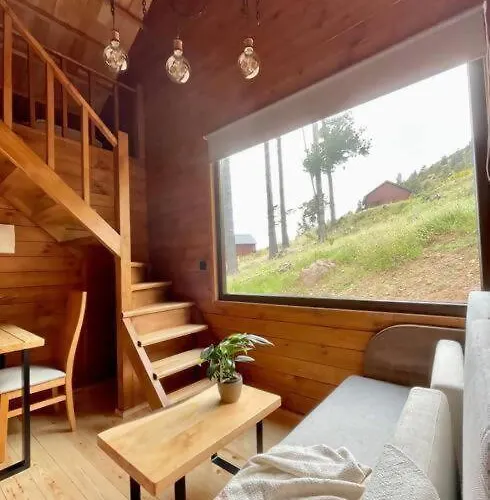 Mountain Eco Shelter 9