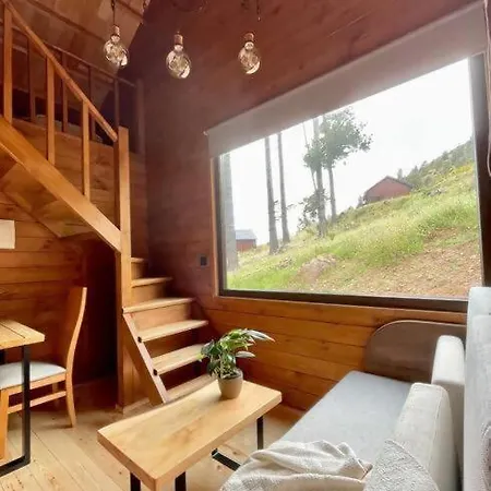 Mountain Eco Shelter 9